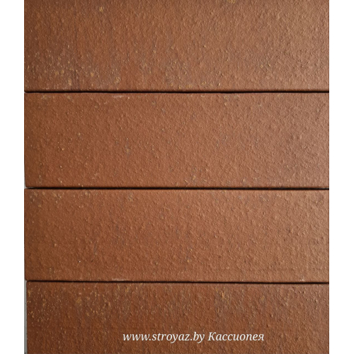 Купить плитку фасадную клинкерную керамическую КАССИОПЕЯ в Гродно Плитка фасадная клинкерная керамическая КАССИОПЕЯ красная Гродно