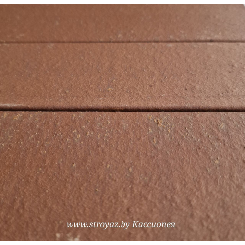 Купить плитку фасадную клинкерную керамическую КАССИОПЕЯ в Могилеве Плитка фасадная клинкерная керамическая КАССИОПЕЯ красная Могилев