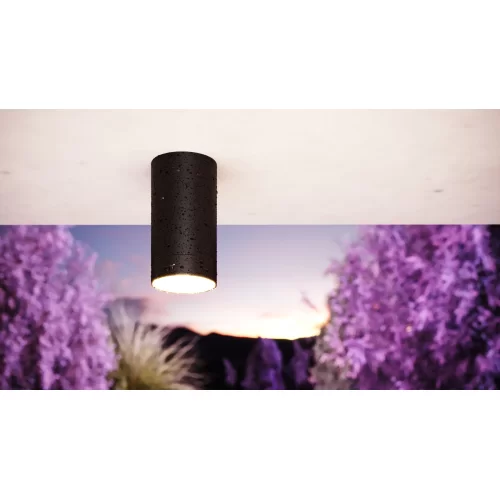 Купить Уличный потолочный светильник Luxe O500CL-L10B3K - фото: 7