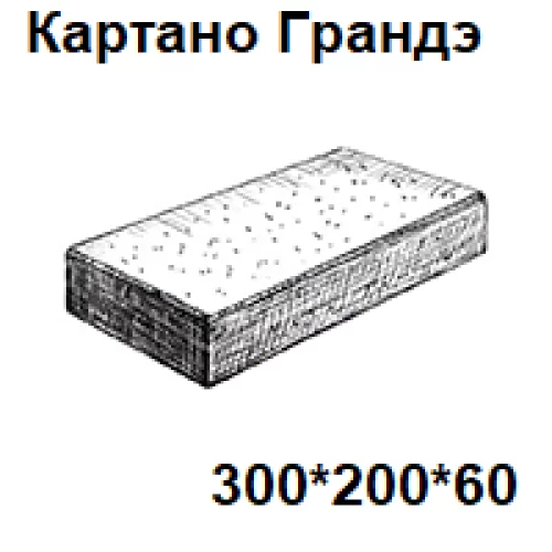 Плитка тротуарная 300×200×60 мм Картано Грандэ Покостовский Granite Finerro4