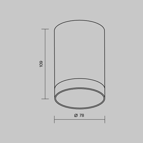 Купить Уличный потолочный светильник Luxe O500CL-L10B3K - фото: 5