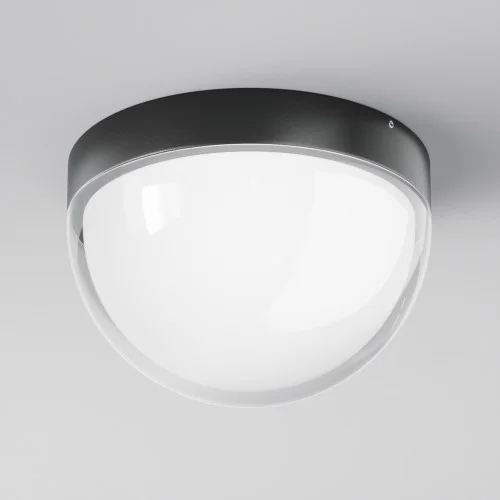 Купить Уличный потолочный светильник Mon O438CL-L12GF3K от Maytoni в Stroyaz.by Гродно
