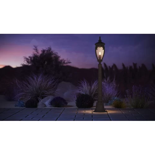 Купить Ландшафтный светильник  Fleur O414FL-01GB1 - фото: 12