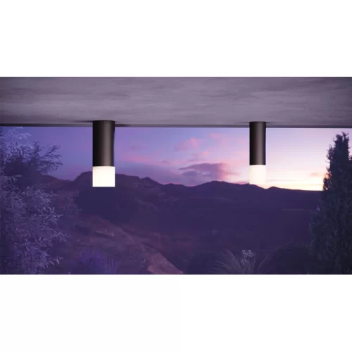 Купить Уличный потолочный светильник Ember O499CL-L10B3K - фото: 7