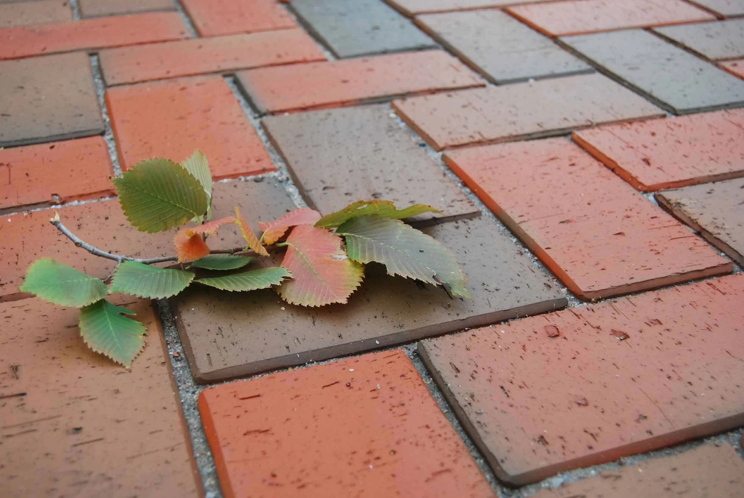 тротуарная плитка