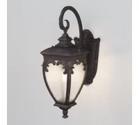 Уличный настенный светильник  Fleur O414WL-01BZ