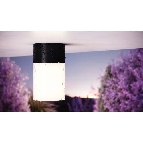 Уличный настенный светильник Willis O418WL-01GR — фото 12, Настенные светильники (Бра), Maytoni