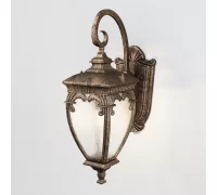 Уличный настенный светильник  Fleur O414WL-01GB