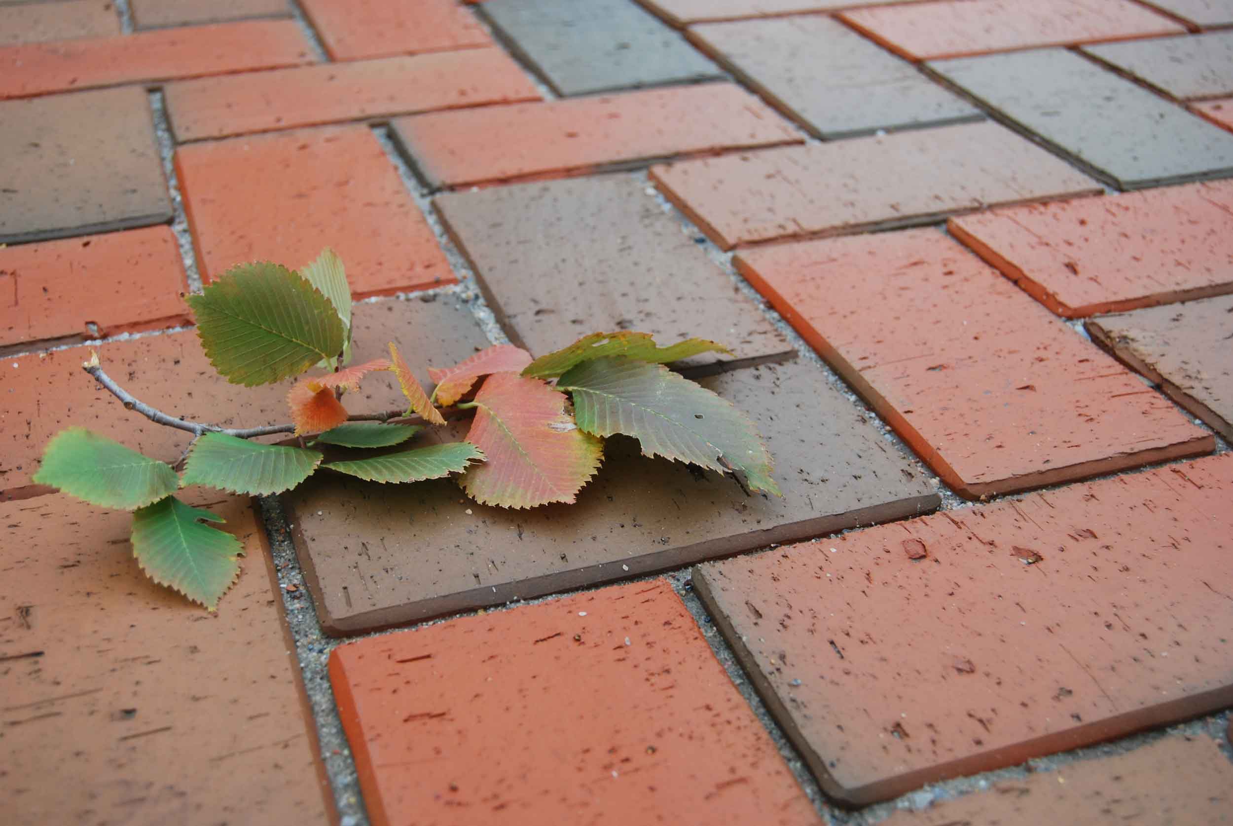 тротуарная плитка